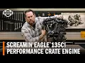 Harley-Davidson Screamin Eagle 135 Stage IV Performance Crate Engine
