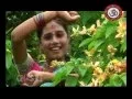 Download Lagu KATHEKALI DUNDU CHWARARE banjara song