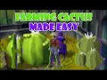Quick Guide to Farming Cactus and Potato Cactus in OSRS