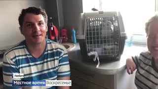 «События недели» с Андреем Копейкиным от 17 мая 2020 года (часть 2)