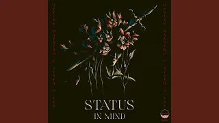 status in mind original mix 