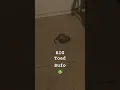 Download Lagu Big boy bufo  #bufo  #toad #frog #shorts #ytshorts #hungry #bigboss