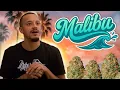 Malibu Strain Review - Seed Junky Series Ep 6