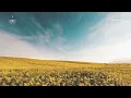 Ann Annie - Moons Apart (Reprise)