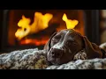 Cozy Fireplace Ambience - German Shorthaired Pointer Sleeping 10 Hours of Relaxing Fire Sounds