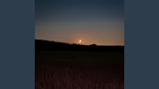 اخبار اهرام الجمهوريه                         دندنها