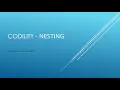Codility - Nesting JavaScript