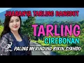 SUARA MERDU | BASS EMPUK BANGET | TARLING DANGDUT PALING MERINDING BIKIN SYAHDU