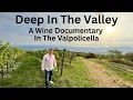 Download Lagu Amarone della Valpolicella