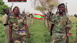 new oromo music 2025 ejersoo fi dittaa maal jedhe wbon hawwisoo abo wbo