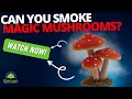 Can you smoke magic mushrooms