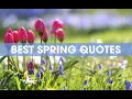 Best Spring Quotes - Inspirational and Funny Sayings About Spring