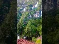 Download Lagu meri Tara peyar korke dekho na#nature #naturelovers