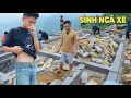 Download Lagu Tiếp Tục Tai Nạn..! Em Sình Không May Bị Ngã Xe Khi Chuyển Vật Liệu. Phương Án Lúc Này Là Phải Thuê