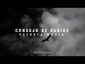 Consejo de sabios - Vetusta Morla // Letra