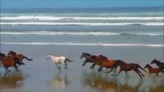 خلاص بقي بيتكلم يرحم زمن السكوت 