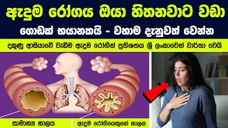 ඇදුම රෝගය ඔයා හිතනවාට වඩා ගොඩක් භයානකයි - මෙන්න අපි එහෙම කියන්න හේතු 8ක්