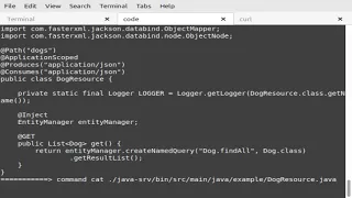 Programming java maven quarkus postgres api