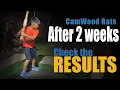 CamWood Bat 2 week progress Results