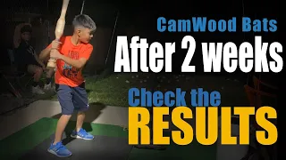 CamWood Bat 2 week progress Results