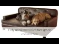 Enchanted Home Pet Library Sofa Review
