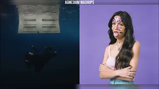 wildflower x drivers license billie eilish x olivia rodrigo mashup 