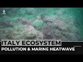 Italian ecosystem Extreme heatwaves affect seawater temperatures