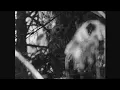 Download Lagu Havukruunu: Tavastland (Official Video)