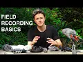 Field Recording For Beginners - Essential GEAR TIPS