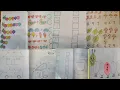 Brain Booster Numbers and Alphabets worksheet for preschool kindergarten Kids