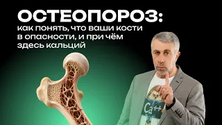 Остеопороз: как понять, что ваши кости в опасности, и при чём здесь кальций