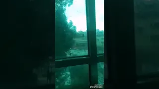 مشاعر تموت وتحيينا مشاعر   دندنها