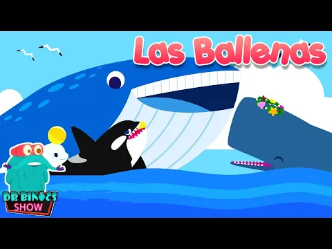 Download MP3 Las Ballenas | Una de esas criaturas gigantes que crees que realmente existe | Educativos para niños