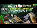Download Lagu REQUEST MASTERING #17...DURASI 5 JAM MASTERAN MALAM RAJA TEMBAKAN MAUT .. JOSSS GANDOOOSSS