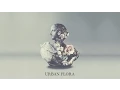 Alina Baraz \u0026 Galimatias - Can I (Cover Art)