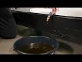 How To Change Oil On Generac Air-Cooled Standby Generator Step-By-Step Guide Brite Generators