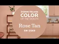 Sherwin-Williams Color of the Month - May 2022 Rose Tan SW 0069