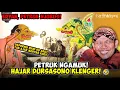 Download Lagu EDYAN! Dursasono Di amuk Petruk Sampe Geleleng! 🤣 | Ki Seno Nugroho – Cerita Wayang