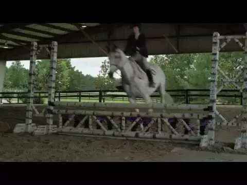 A Gift Horse - Official Trailer HD