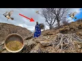 Taban in the Heart of the Mountains⛰️: The Secrets of Gathering Firewood🪵 and Making Mashki Water🥣