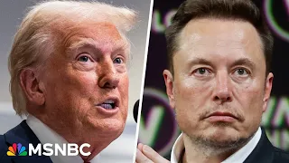 'Sweeping power no American has ever had': Where is Musk getting all this authority?