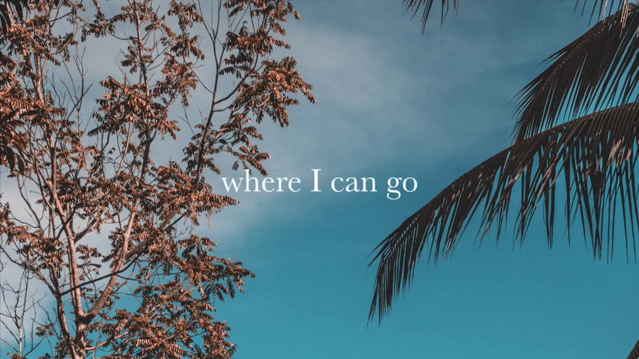 Rex Orange County // Sunflower /Lyrics/ Rex Orange County // Sunflower /Lyrics/