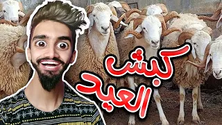 كبش العيد مع كعوان و اسلام 