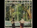 Succulent Garden