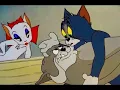 Download Lagu Tom And Jerry English Episodes - Solid Serenade - Cartoons For Kids