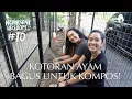 Lagu Integrasikan Sistem Kompos \u0026 Kandang Ayam! Ngga Perlu Sering Ngaduk, Ayam Dapat Makan Lebih!