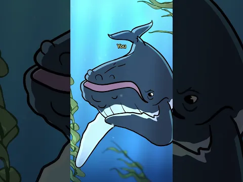 Humpback Whale 🎼🐳 #animation #original #cartoon