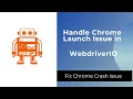 How To Fix Chrome Browser Launching Issue In WebdriverIO
