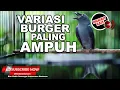 Download Lagu 🔴SRIGUNTING GACOR NGOTOT ISIAN GEREJA TARUNG❗️Masteran Mewah 2023