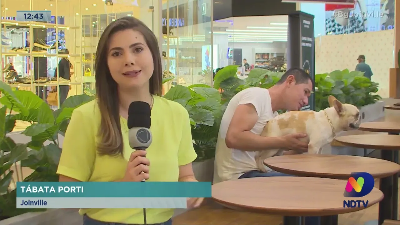 Pet friendly: Joinville tem lei para regulamentar presença de animais domésticos em estabelecimentos